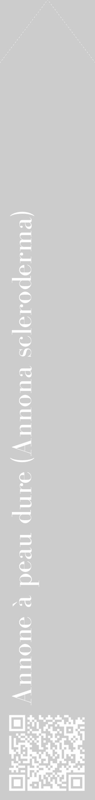 Étiquette de : Annona scleroderma - format c - style blanche0_simple_simplebod avec qrcode et comestibilité - position verticale