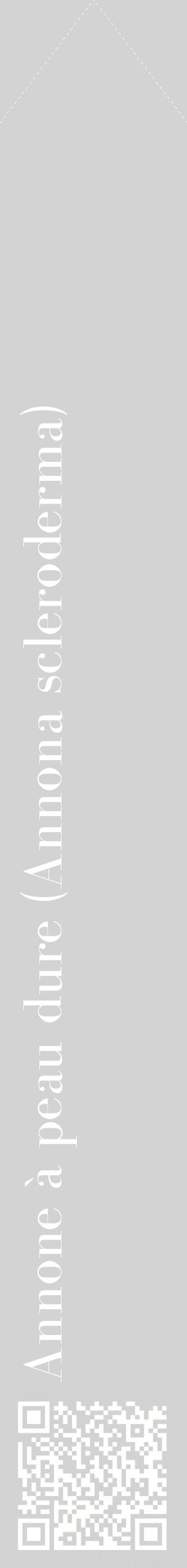 Étiquette de : Annona scleroderma - format c - style blanche56_simplebod avec qrcode et comestibilité