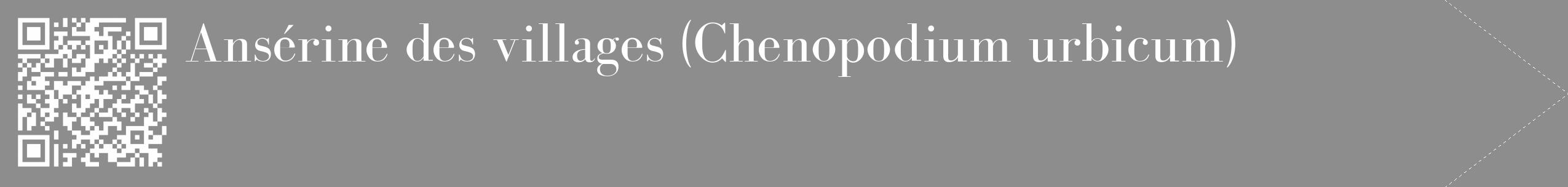 Étiquette de : Chenopodium urbicum - format c - style blanche2_simple_simplebod avec qrcode et comestibilité