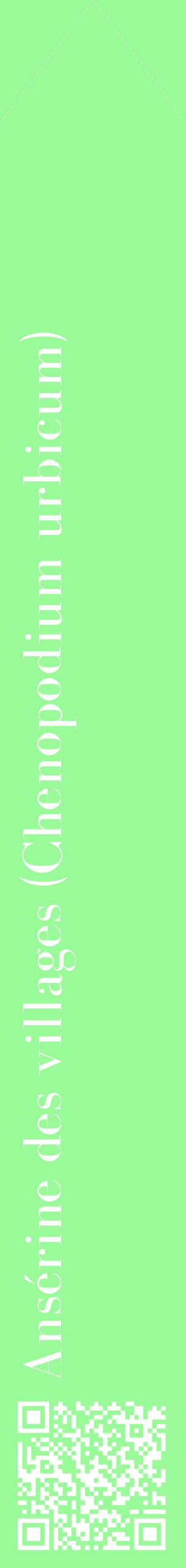 Étiquette de : Chenopodium urbicum - format c - style blanche14_simplebod avec qrcode et comestibilité