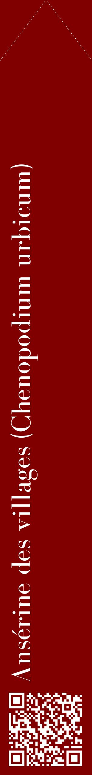 Étiquette de : Chenopodium urbicum - format c - style blanche29_simplebod avec qrcode et comestibilité