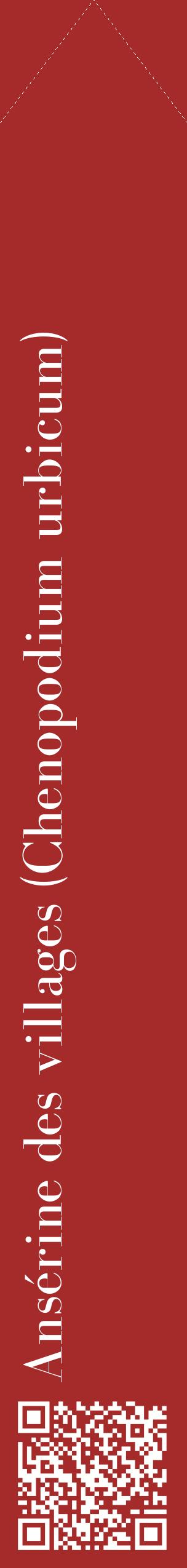 Étiquette de : Chenopodium urbicum - format c - style blanche33_simplebod avec qrcode et comestibilité