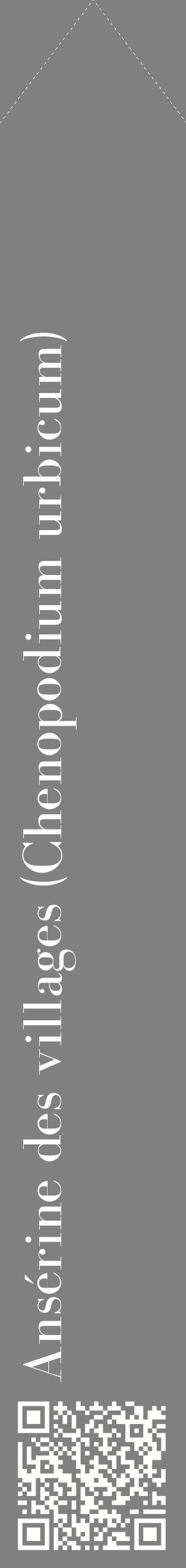 Étiquette de : Chenopodium urbicum - format c - style blanche57_simplebod avec qrcode et comestibilité