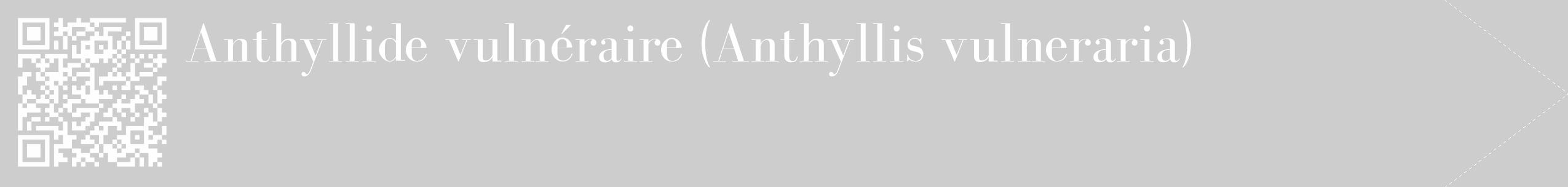 Étiquette de : Anthyllis vulneraria - format c - style blanche41_simple_simplebod avec qrcode et comestibilité