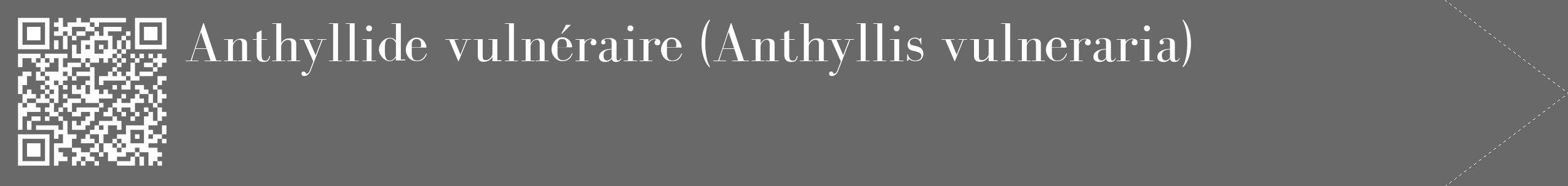 Étiquette de : Anthyllis vulneraria - format c - style blanche51_simple_simplebod avec qrcode et comestibilité