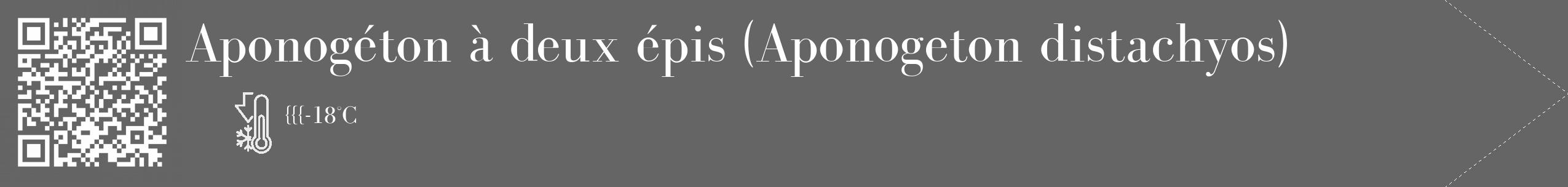 Étiquette de : Aponogeton distachyos - format c - style blanche32_simple_simplebod avec qrcode et comestibilité