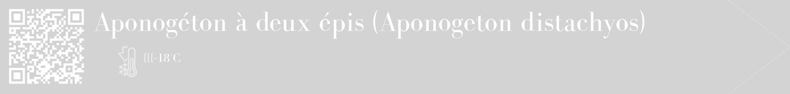 Étiquette de : Aponogeton distachyos - format c - style blanche56_simple_simplebod avec qrcode et comestibilité