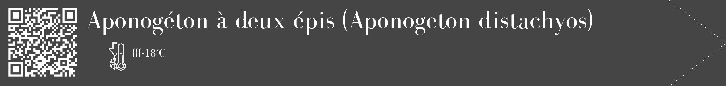Étiquette de : Aponogeton distachyos - format c - style blanche58_simple_simplebod avec qrcode et comestibilité