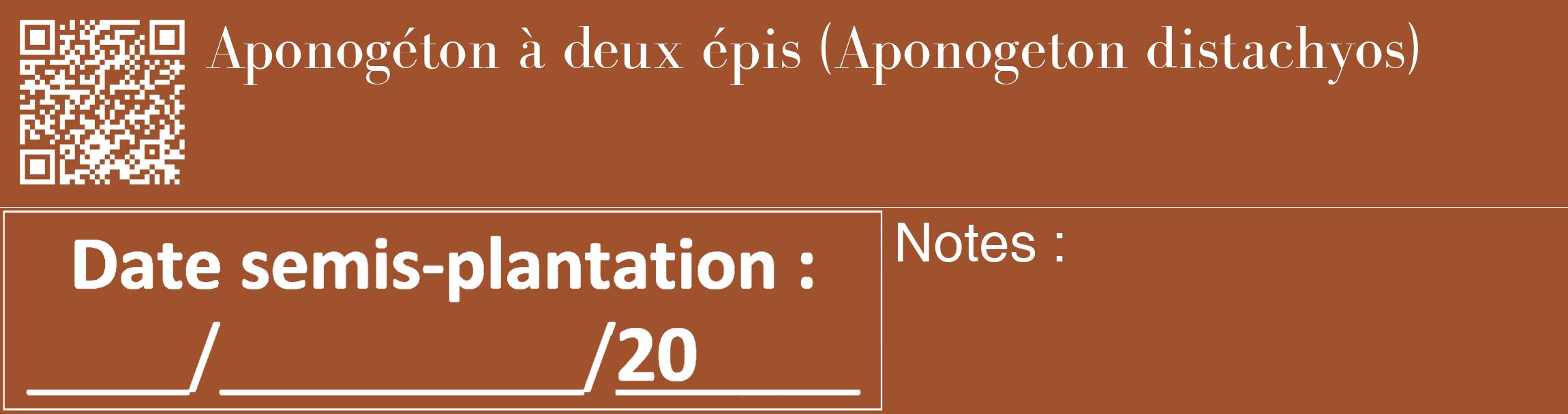 Étiquette de : Aponogeton distachyos - format c - style blanche32_basique_basiquebod avec qrcode et comestibilité
