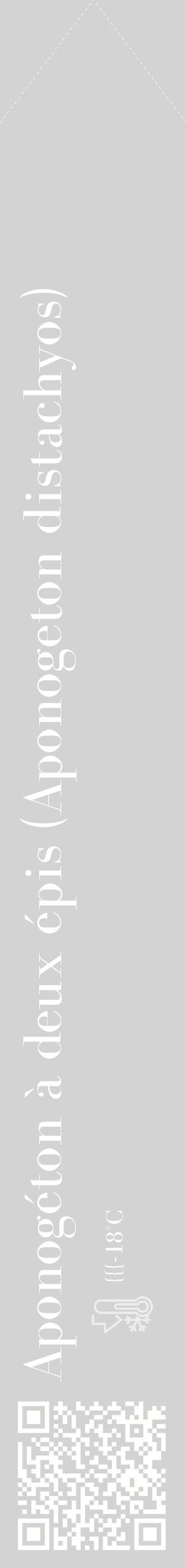Étiquette de : Aponogeton distachyos - format c - style blanche56_simple_simplebod avec qrcode et comestibilité - position verticale
