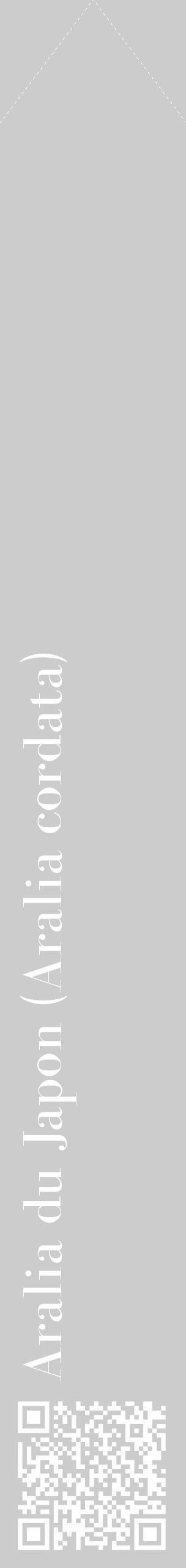 Étiquette de : Aralia cordata - format c - style blanche0_simple_simplebod avec qrcode et comestibilité - position verticale