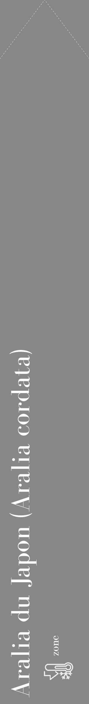 Étiquette de : Aralia cordata - format c - style blanche12_simple_simplebod avec comestibilité - position verticale