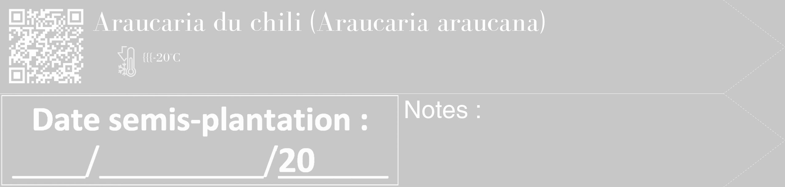 Étiquette de : Araucaria araucana - format c - style blanche15_simple_simplebod avec qrcode et comestibilité