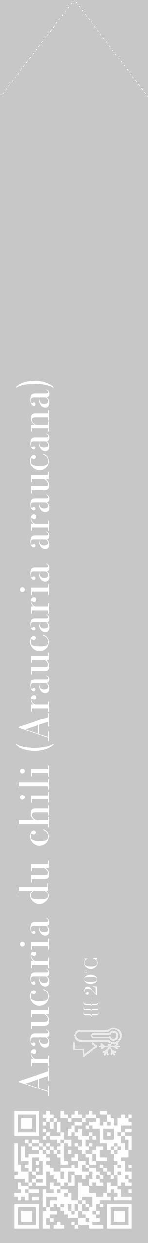 Étiquette de : Araucaria araucana - format c - style blanche15_simple_simplebod avec qrcode et comestibilité - position verticale