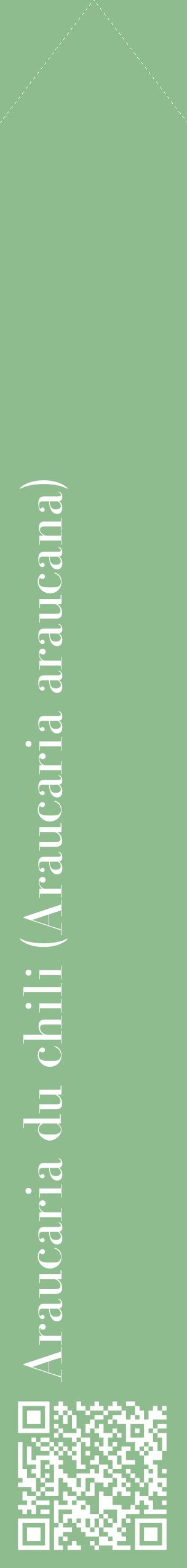Étiquette de : Araucaria araucana - format c - style blanche13_simplebod avec qrcode et comestibilité