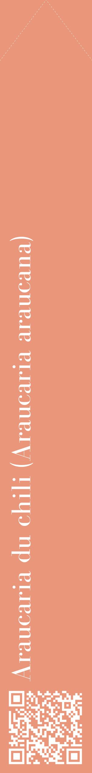 Étiquette de : Araucaria araucana - format c - style blanche37_simplebod avec qrcode et comestibilité