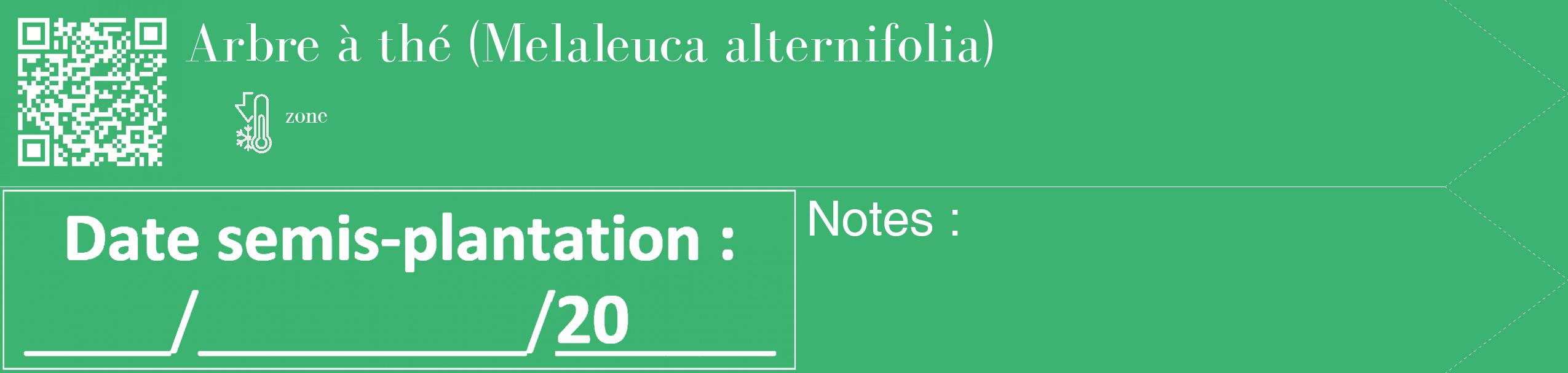 Étiquette de : Melaleuca alternifolia - format c - style blanche12_simple_simplebod avec qrcode et comestibilité