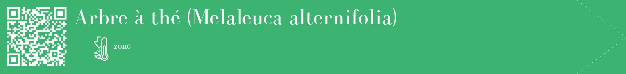 Étiquette de : Melaleuca alternifolia - format c - style blanche12_simple_simplebod avec qrcode et comestibilité