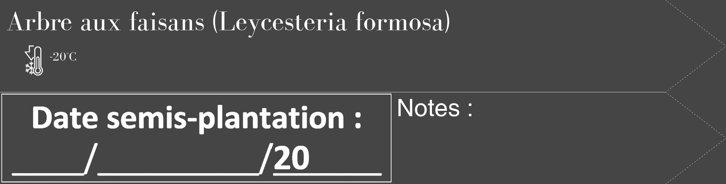 Étiquette de : Leycesteria formosa - format c - style blanche58_simple_simplebod avec comestibilité