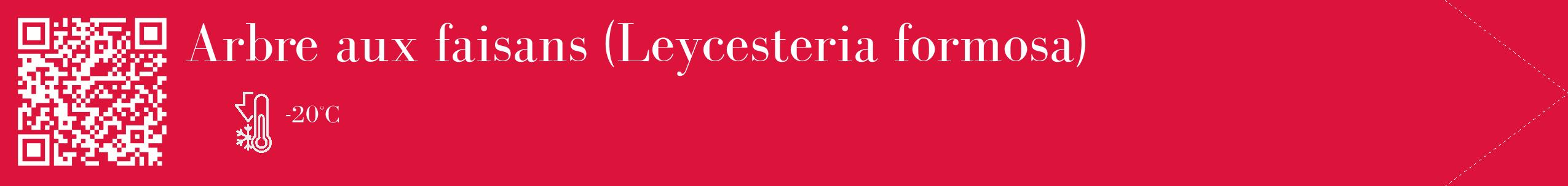 Étiquette de : Leycesteria formosa - format c - style blanche36_simple_simplebod avec qrcode et comestibilité