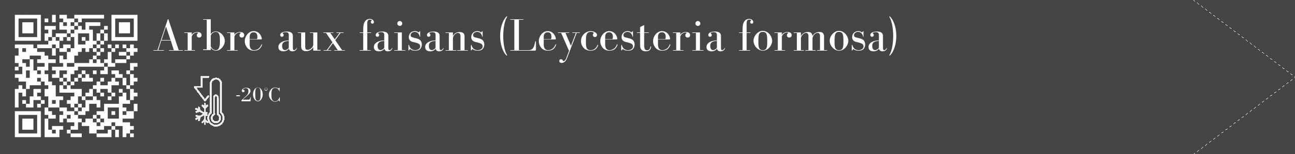 Étiquette de : Leycesteria formosa - format c - style blanche58_simple_simplebod avec qrcode et comestibilité