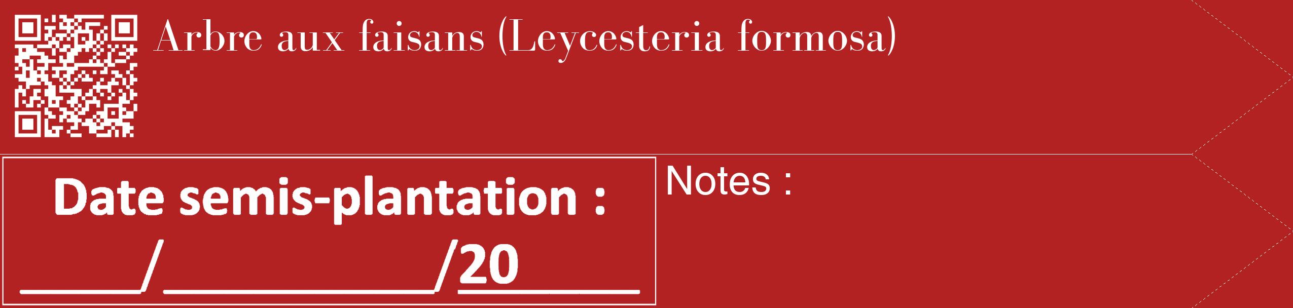 Étiquette de : Leycesteria formosa - format c - style blanche28_simple_simplebod avec qrcode et comestibilité