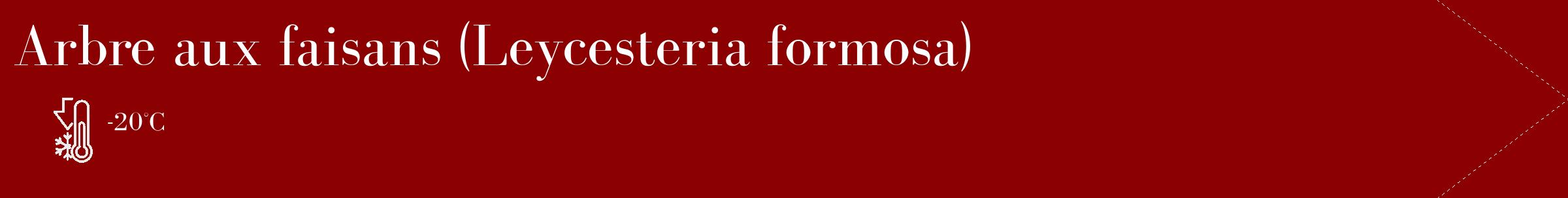 Étiquette de : Leycesteria formosa - format c - style blanche34_simple_simplebod avec comestibilité