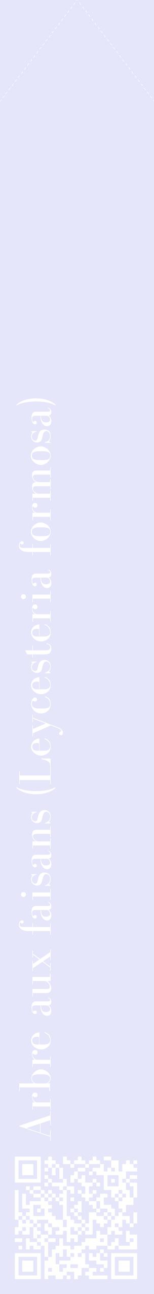 Étiquette de : Leycesteria formosa - format c - style blanche55_simplebod avec qrcode et comestibilité