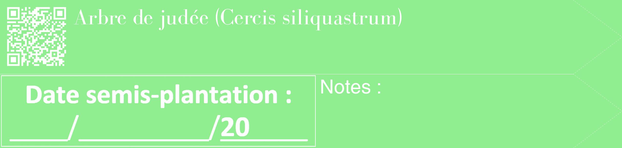 Étiquette de : Cercis siliquastrum - format c - style blanche15_simple_simplebod avec qrcode et comestibilité