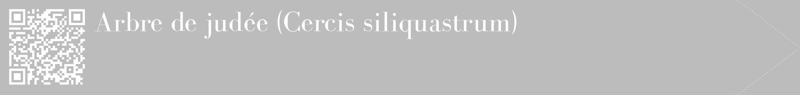 Étiquette de : Cercis siliquastrum - format c - style blanche1_simple_simplebod avec qrcode et comestibilité