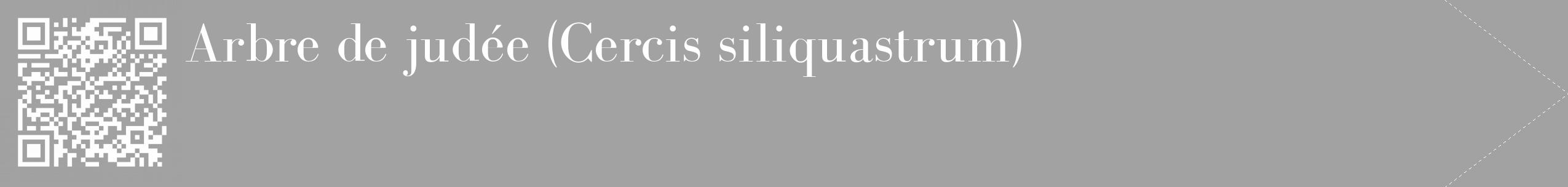 Étiquette de : Cercis siliquastrum - format c - style blanche38_simple_simplebod avec qrcode et comestibilité