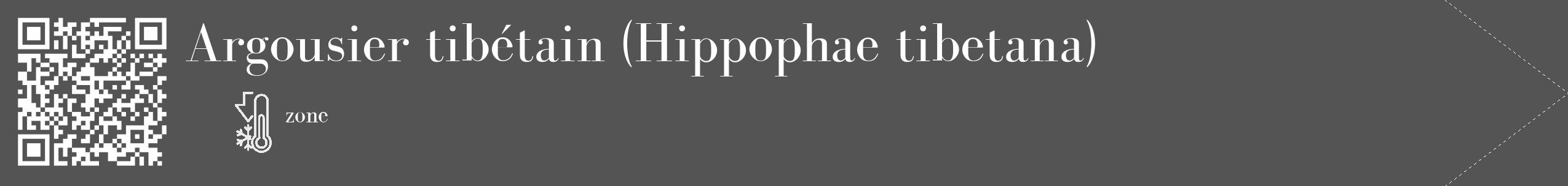 Étiquette de : Hippophae tibetana - format c - style blanche30_simple_simplebod avec qrcode et comestibilité