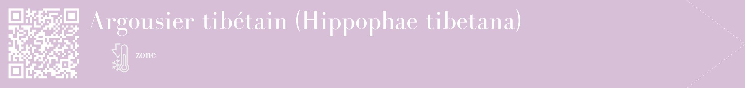 Étiquette de : Hippophae tibetana - format c - style blanche54_simple_simplebod avec qrcode et comestibilité