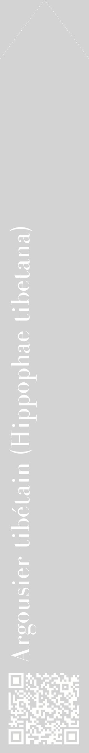 Étiquette de : Hippophae tibetana - format c - style blanche56_simplebod avec qrcode et comestibilité