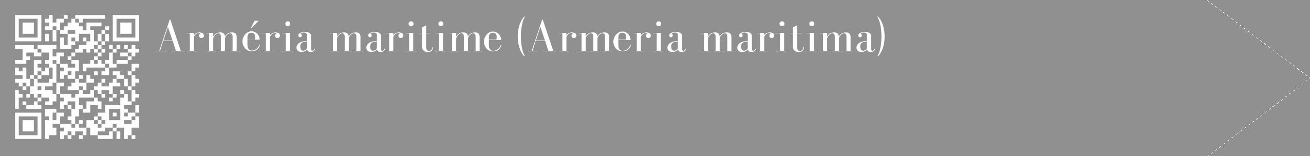 Étiquette de : Armeria maritima - format c - style blanche4_simple_simplebod avec qrcode et comestibilité