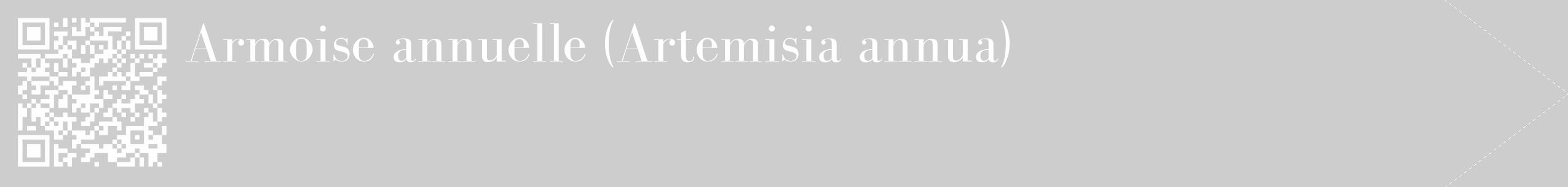 Étiquette de : Artemisia annua - format c - style blanche41_simple_simplebod avec qrcode et comestibilité