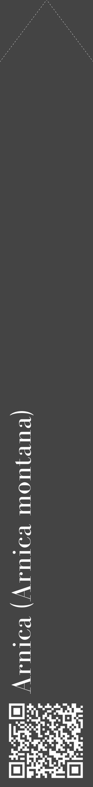 Étiquette de : Arnica montana - format c - style blanche48_simple_simplebod avec qrcode et comestibilité - position verticale