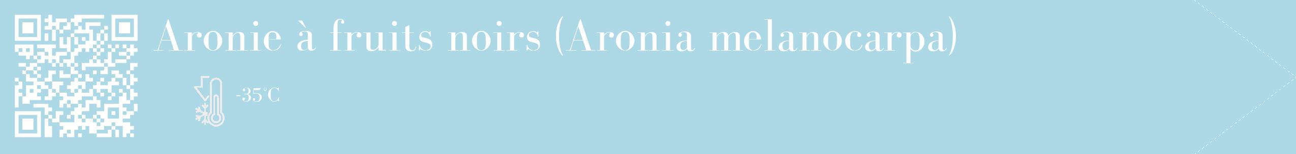 Étiquette de : Aronia melanocarpa - format c - style blanche0_simple_simplebod avec qrcode et comestibilité
