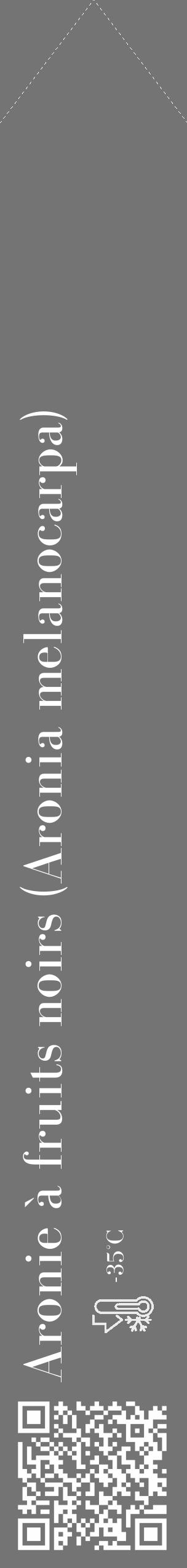 Étiquette de : Aronia melanocarpa - format c - style blanche26_simple_simplebod avec qrcode et comestibilité - position verticale