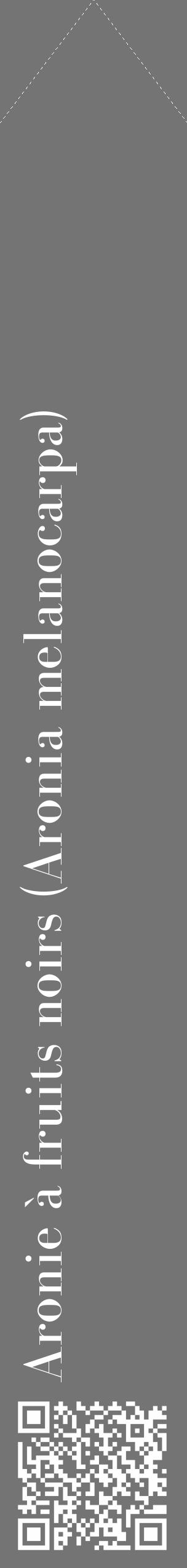 Étiquette de : Aronia melanocarpa - format c - style blanche26_simple_simplebod avec qrcode et comestibilité - position verticale