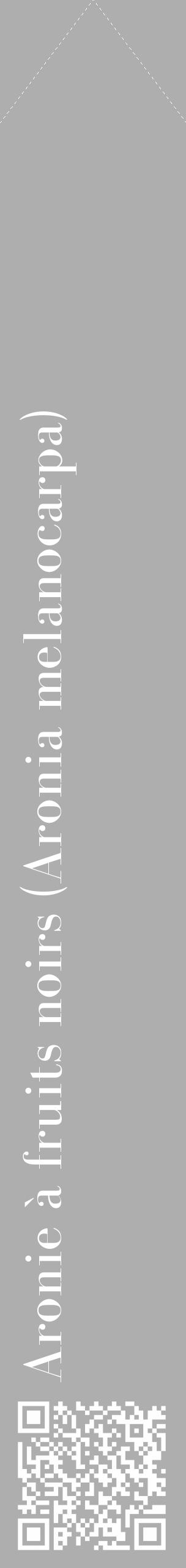Étiquette de : Aronia melanocarpa - format c - style blanche53_simple_simplebod avec qrcode et comestibilité - position verticale