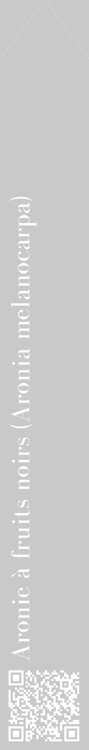Étiquette de : Aronia melanocarpa - format c - style blanche54_simple_simplebod avec qrcode et comestibilité - position verticale