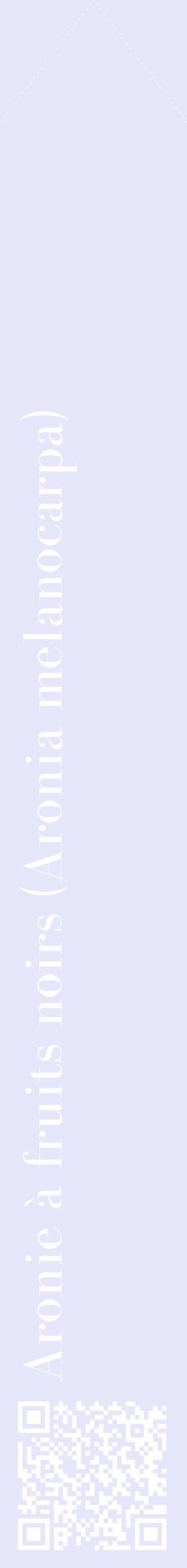 Étiquette de : Aronia melanocarpa - format c - style blanche55_simplebod avec qrcode et comestibilité