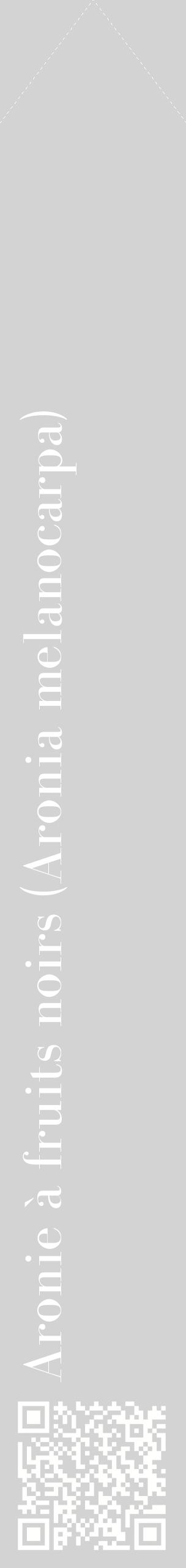 Étiquette de : Aronia melanocarpa - format c - style blanche56_simplebod avec qrcode et comestibilité