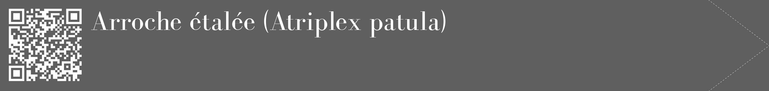 Étiquette de : Atriplex patula - format c - style blanche10_simple_simplebod avec qrcode et comestibilité