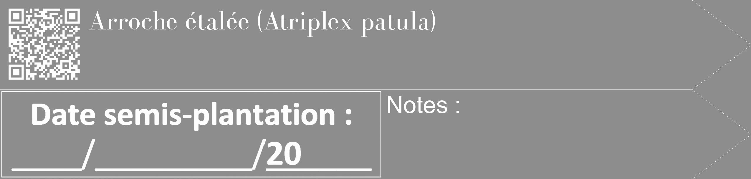 Étiquette de : Atriplex patula - format c - style blanche2_simple_simplebod avec qrcode et comestibilité