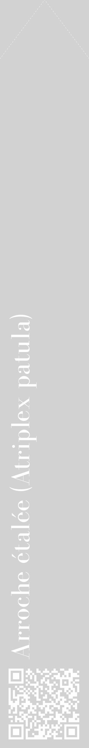 Étiquette de : Atriplex patula - format c - style blanche14_simple_simplebod avec qrcode et comestibilité - position verticale
