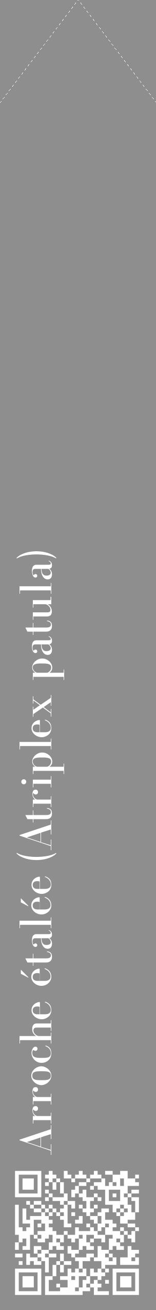 Étiquette de : Atriplex patula - format c - style blanche25_simple_simplebod avec qrcode et comestibilité - position verticale