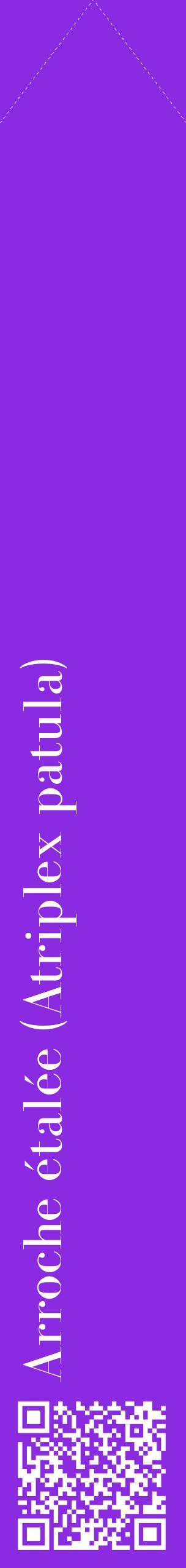 Étiquette de : Atriplex patula - format c - style blanche49_simplebod avec qrcode et comestibilité