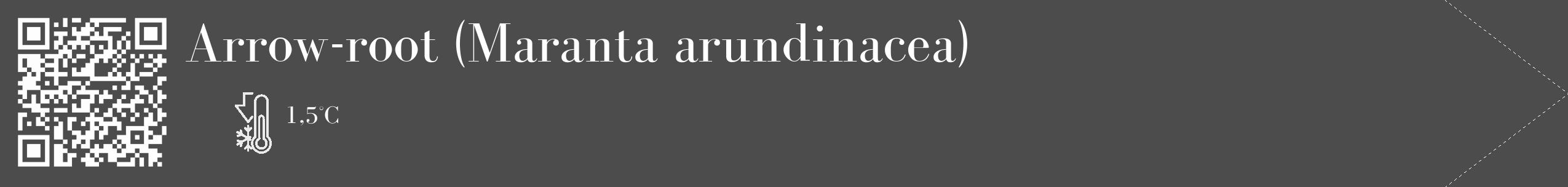 Étiquette de : Maranta arundinacea - format c - style blanche27_simple_simplebod avec qrcode et comestibilité